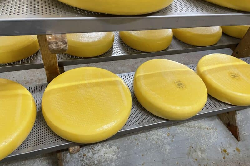 Cheesefarm Schrama